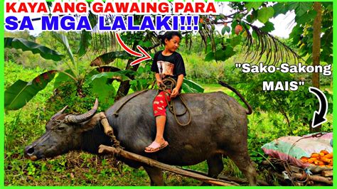 babae kinantot ng kabayo|kinantot ko si jane habang wala tao sa bahay.